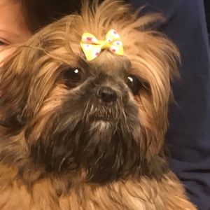 Meet your Posher, Alaina